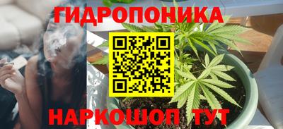 бошки Пенза