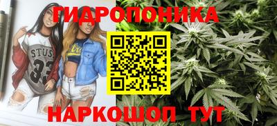 бошки Пенза