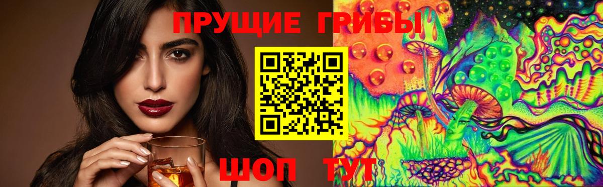 Солнечногорск  Псилоцибиновые грибы ЛСД  Вход с VPN  Псилоцибиновые грибы мицелий 
