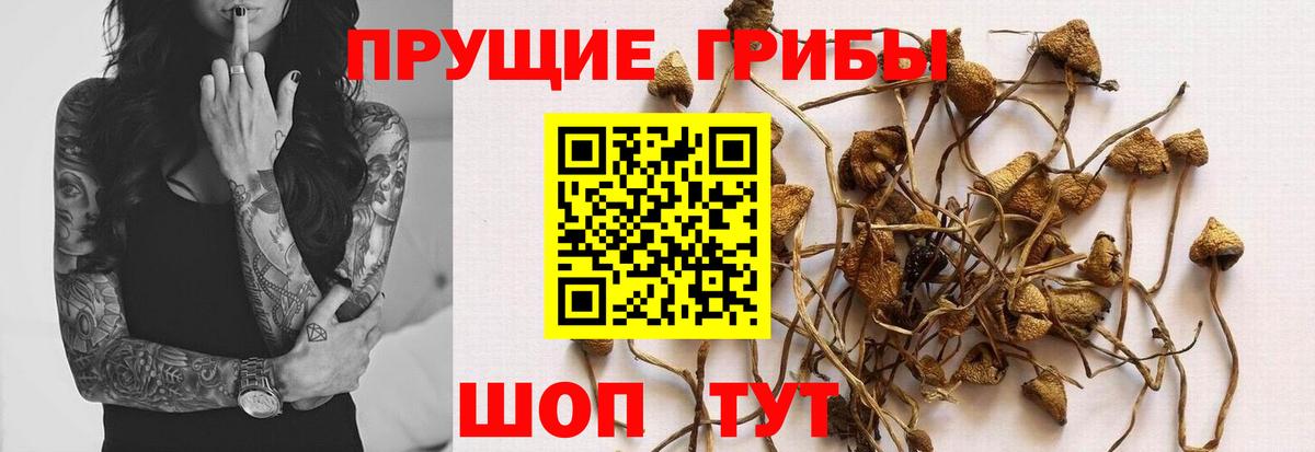 Галлюциногенные грибы Magic Shrooms Солнечногорск